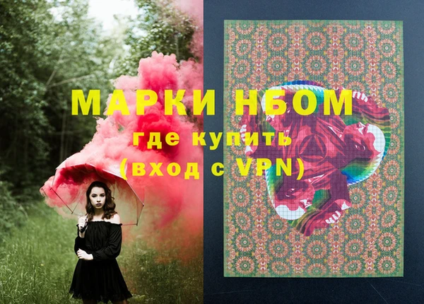СК Магадан